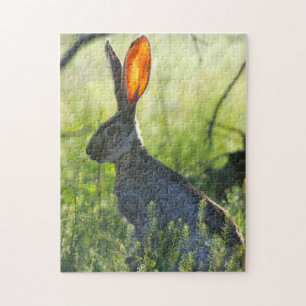 Arizona  Jack Rabbit. Jigsaw Puzzle