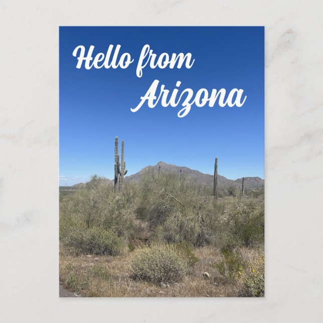 Arizona Landscape Saguaro Cactus Nature Postcard (Front)