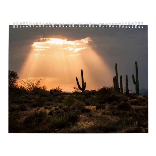 Arizona Landscapes Calendar (Cover)