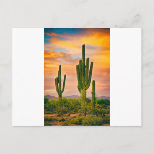 Arizona Life Postcard
