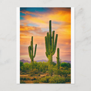 Arizona Life Postcard