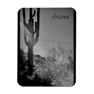 Arizona Magnet