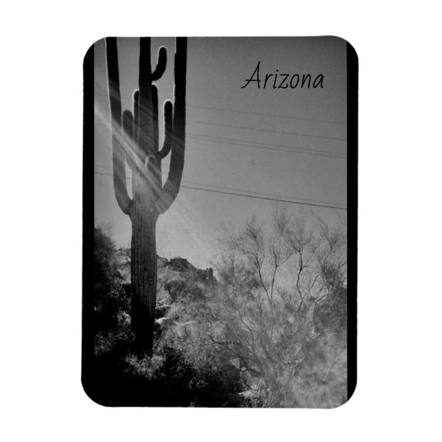 Arizona Magnet (Vertical)