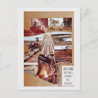 Arizona Mid-Century Agriculture Desert Landscape Holiday Postcard