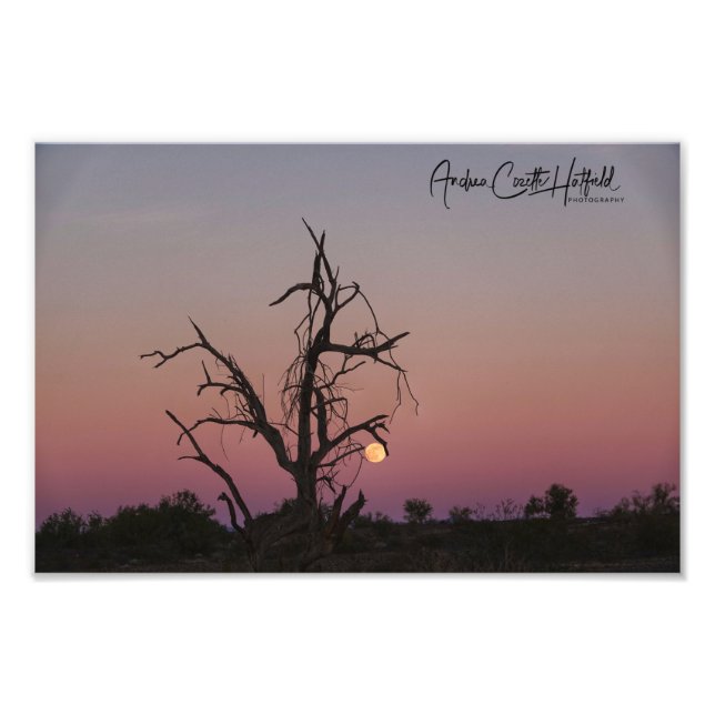 Arizona Moon Photo Print (Front)