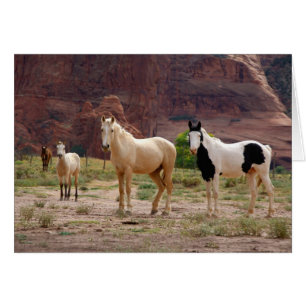 Arizona, Navajo Indian Reservation, Chinle,