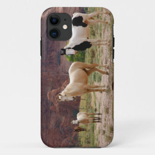 Arizona, Navajo Indian Reservation, Chinle, iPhone 11 Case