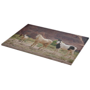 Arizona, Navajo Indian Reservation, Chinle, Cutting Board