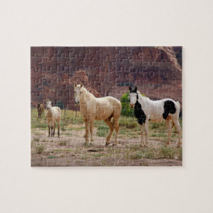 Arizona, Navajo Indian Reservation, Chinle, Jigsaw Puzzle