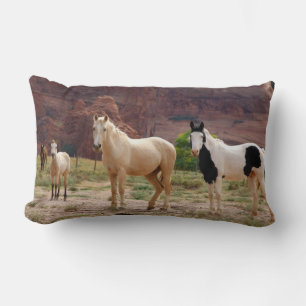 Arizona, Navajo Indian Reservation, Chinle, Lumbar Cushion