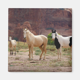 Arizona, Navajo Indian Reservation, Chinle, Magnet