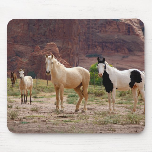 Arizona, Navajo Indian Reservation, Chinle, Mouse Pad (Front)