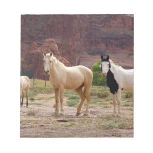 Arizona, Navajo Indian Reservation, Chinle, Notepad