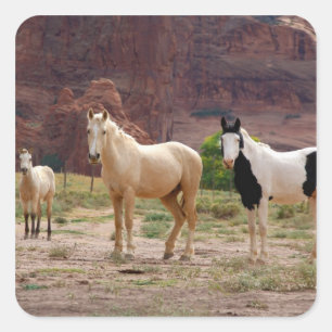Arizona, Navajo Indian Reservation, Chinle, Square Sticker