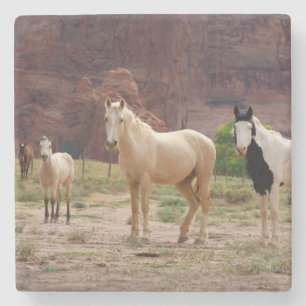 Arizona, Navajo Indian Reservation, Chinle, Stone Coaster
