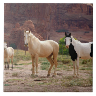 Arizona, Navajo Indian Reservation, Chinle, Tile