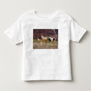 Arizona, Navajo Indian Reservation, Chinle, Toddler T-Shirt