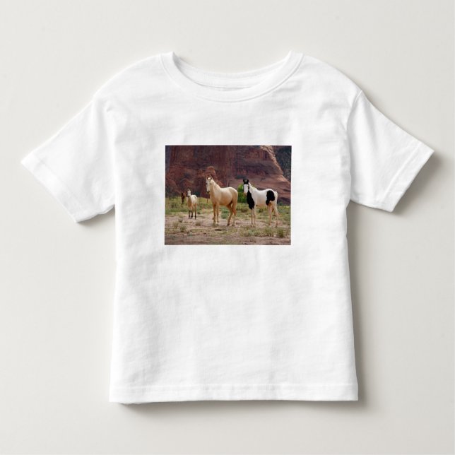 Arizona, Navajo Indian Reservation, Chinle, Toddler T-Shirt (Front)