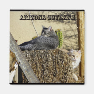 Arizona Outlaws Magnet