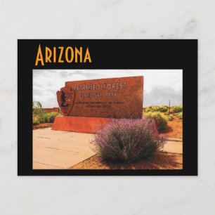 Arizona (Petrified Forest) Postcard