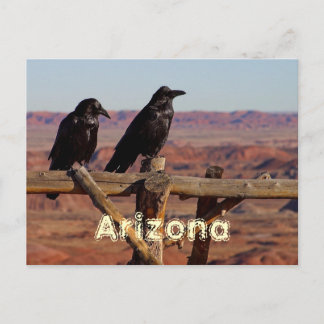 Arizona Postcard