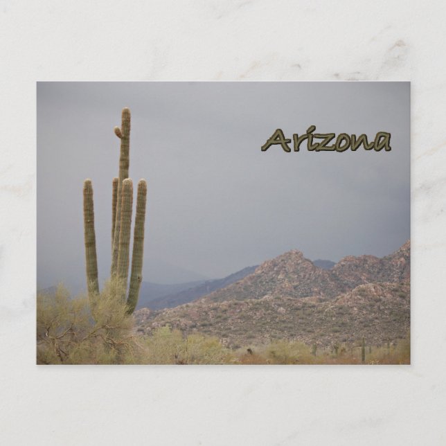 Arizona Postcard (Front)
