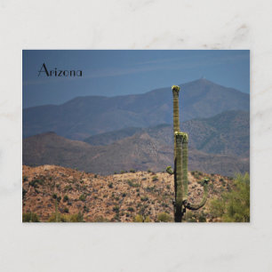 Arizona Postcard