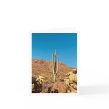 Arizona Postcard 1