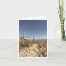 Arizona Postcard 3
