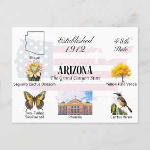 Arizona Postcard   State themes and landmarks