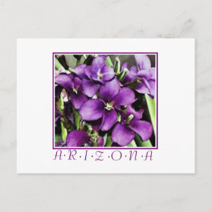 Arizona purple flower postcard