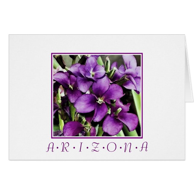 Arizona purple flowers (Front Horizontal)