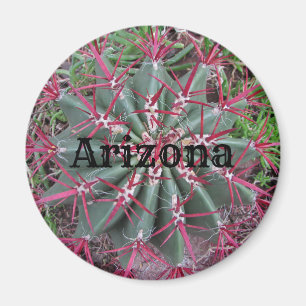 Arizona Red and Green Barrel Cactus Desert Photo Magnet