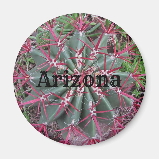 Arizona Red and Green Barrel Cactus Desert Photo Magnet (Front)