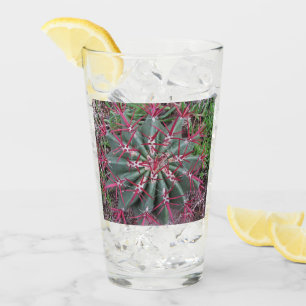 Arizona Red Barrel Cactus Close-up Photograph Glass