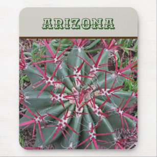 Arizona Red Barrel Cactus Desert Plant Southwest  Mouse Pad