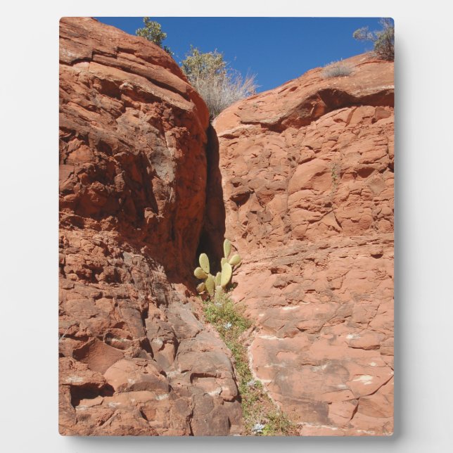 Arizona Red Rocks Landscape Photo  Plaque (Front)