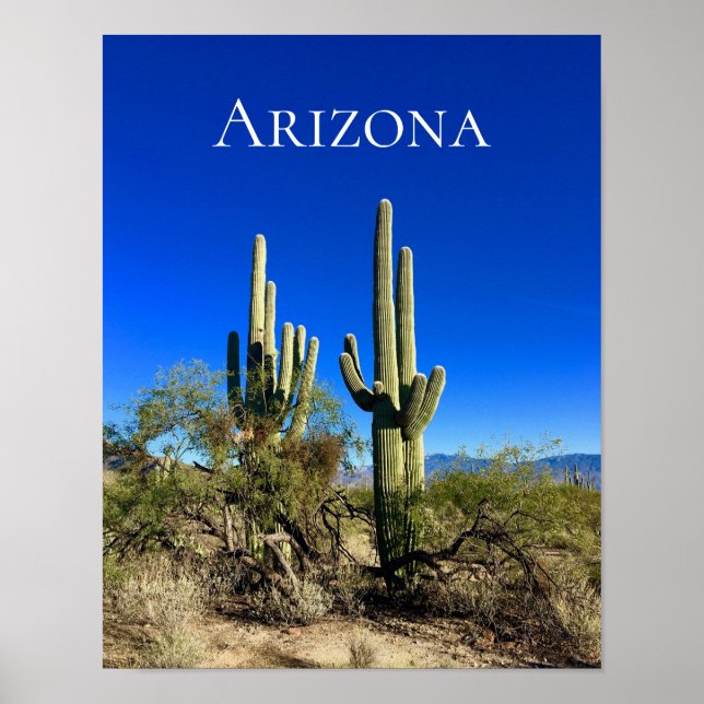 Arizona Saguaro Cactus Desert Poster (Front)