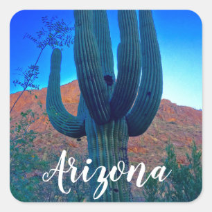 Arizona Saguaro Cactus Square Sticker