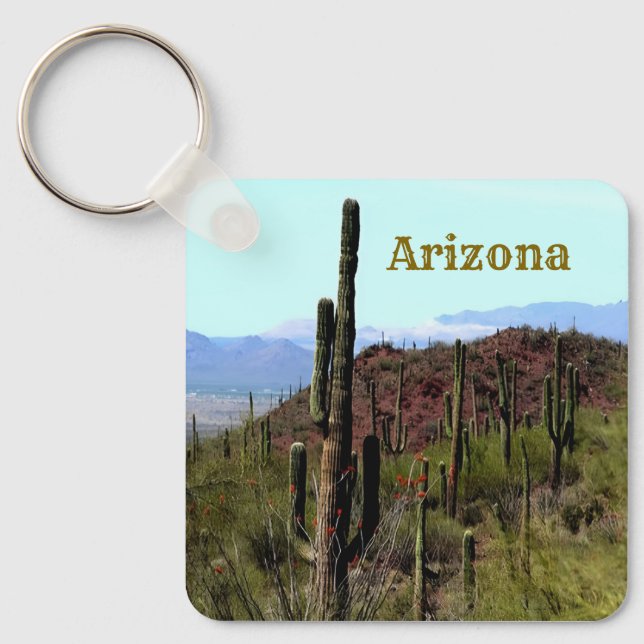 Arizona saguaro mountain landscape  key ring (Front)
