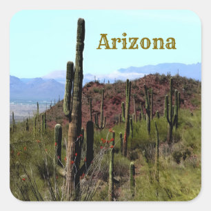 Arizona saguaro mountain landscape  square sticker