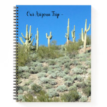 Arizona Saguaros - Travel