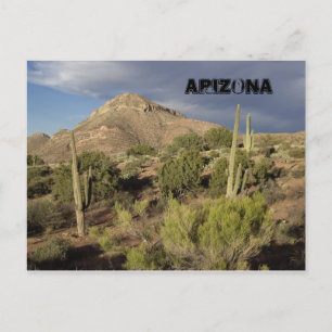 Arizona Scenic Postcard