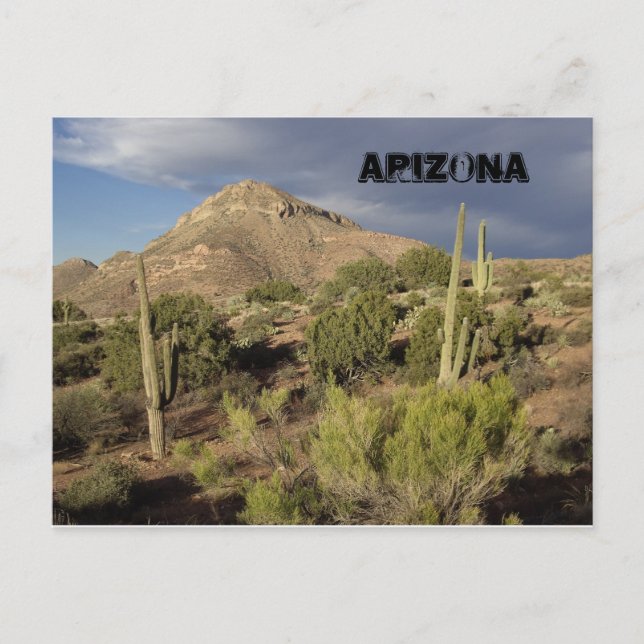 Arizona Scenic Postcard (Front)