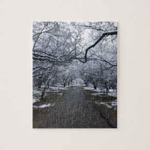 Arizona Snow Scene Puzzle - Medium 110 Pieces