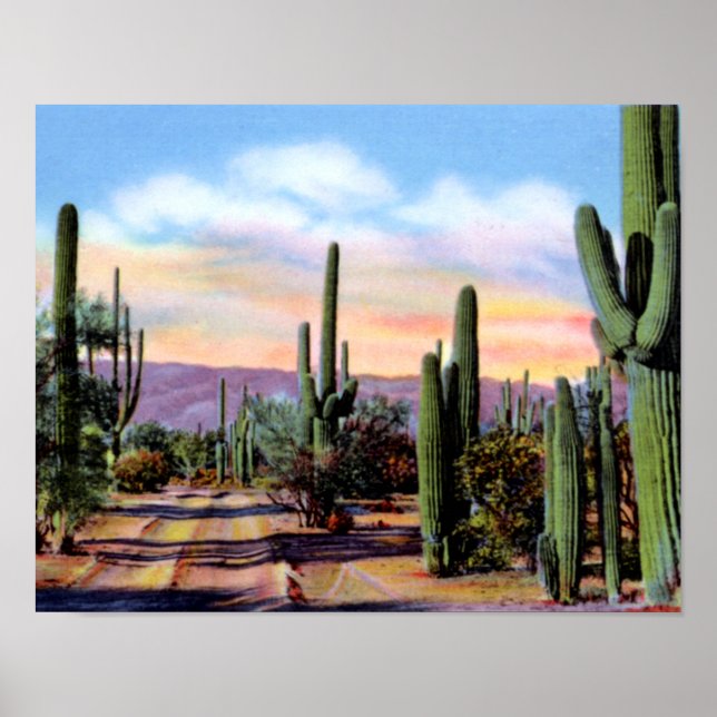 Arizona Sonoran Desert Scene Poster (Front)
