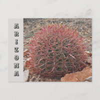 Arizona Southwest State Travel Red Barrel Cactus
