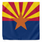 Arizona state flag