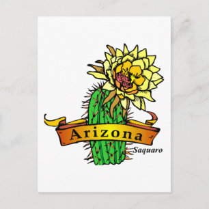 Arizona State Flower - Saguaro Postcard