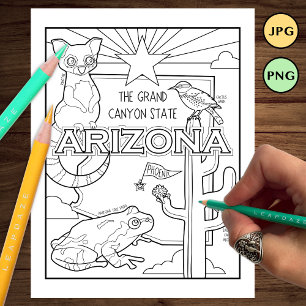 arizona state shape and facts colouring page